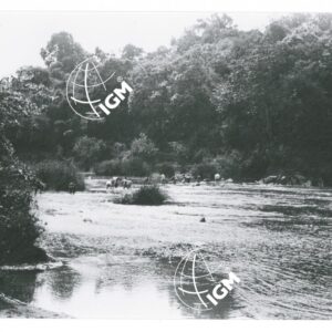 il medio Birbir - FT00001451