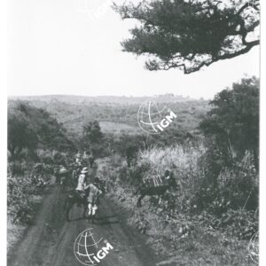 verso il Basso Birbir - FT00001456