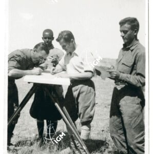 Tigrai - FT00001584
