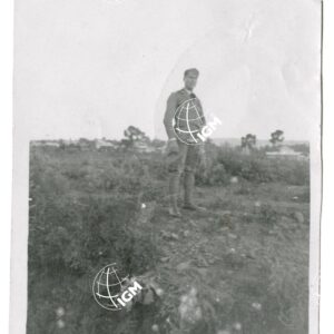 a Domaro - FT00001598