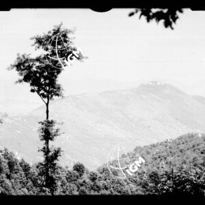Monte Santo e Monte Sabotino - LN00000016