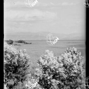 Veduta panoramica Montefalcone Trieste - LN00000197