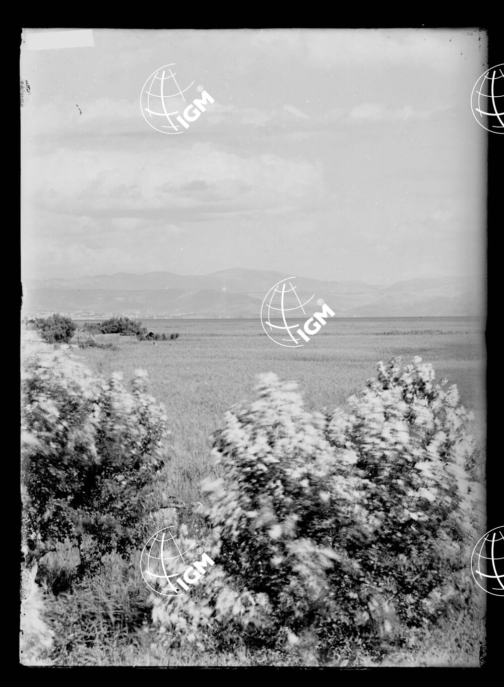 Veduta panoramica Montefalcone Trieste - LN00000197
