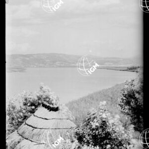 Veduta panoramica Montefalcone Trieste - LN00000198