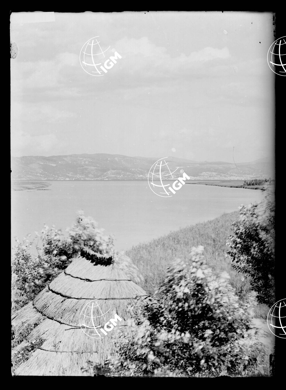 Veduta panoramica Montefalcone Trieste - LN00000198