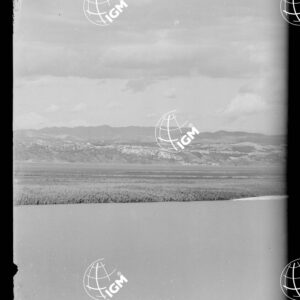 Veduta panoramica Montefalcone Trieste - LN00000200