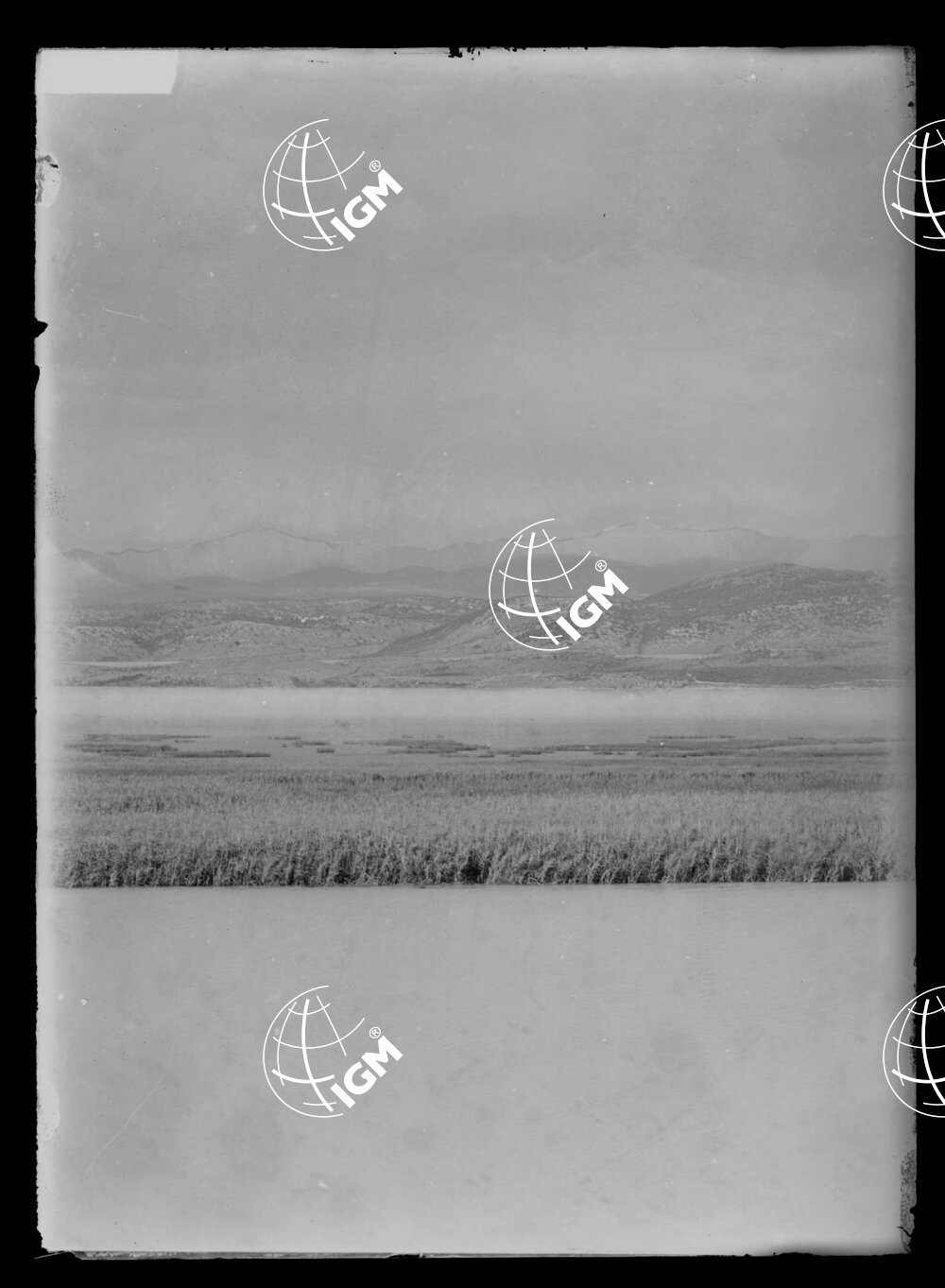 Veduta panoramica Montefalcone Trieste - LN00000203