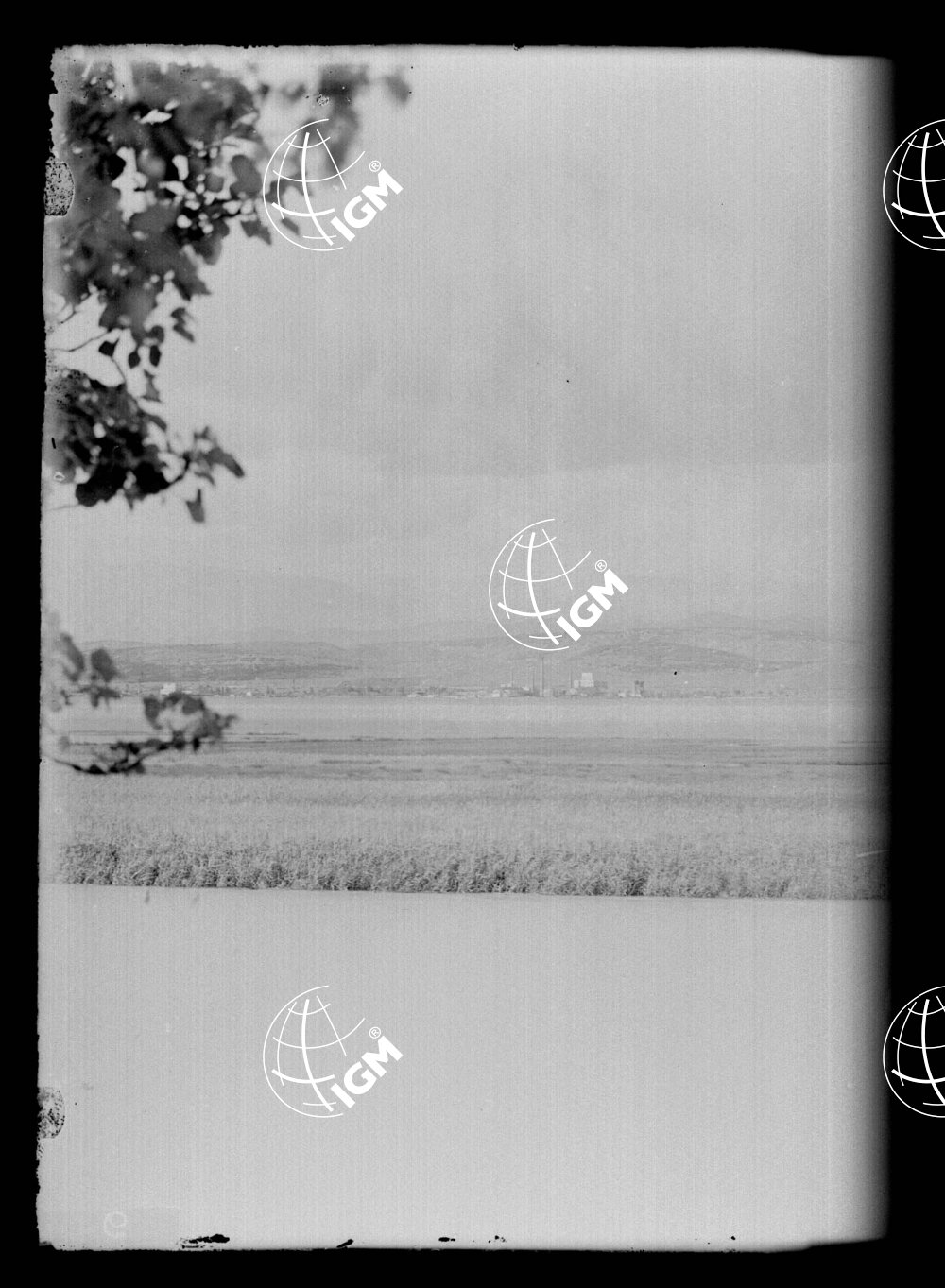 Veduta panoramica Montefalcone Trieste - LN00000205