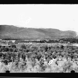 Veduta panoramica del fronte della III armata - LN00000320