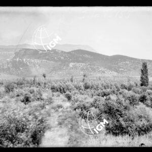 Veduta panoramica del fronte della III armata - LN00000332
