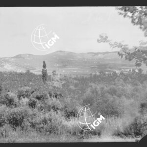 Veduta panoramica del fronte della III armata - LN00000333