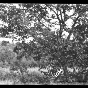 Veduta panoramica del fronte della III armata - LN00000334