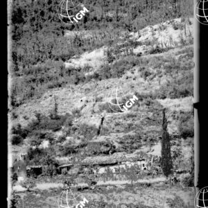 Gorizia - LN00000348