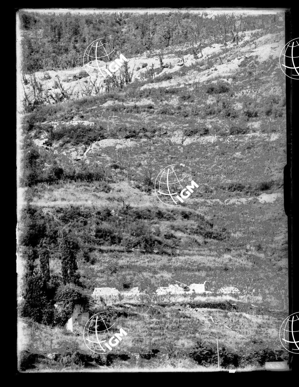 Gorizia - LN00000349