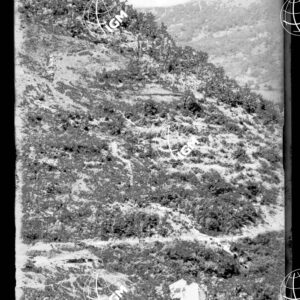 Gorizia - LN00000352