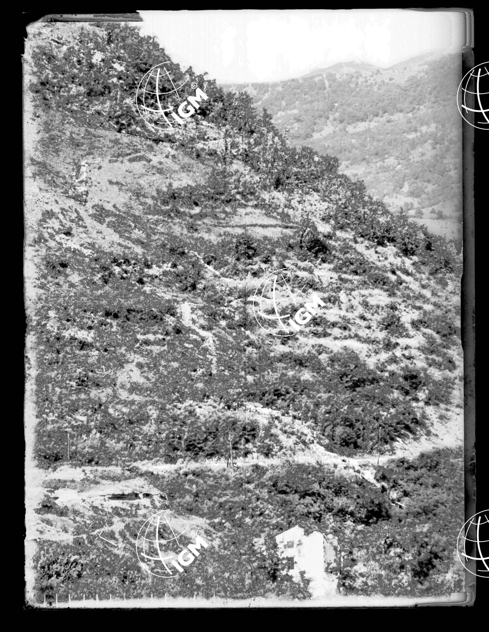 Gorizia - LN00000352