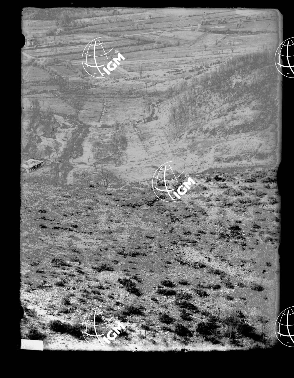 Panorama telefotografico della I^ linea del Volkovniak e Q. 376 - LN00000577