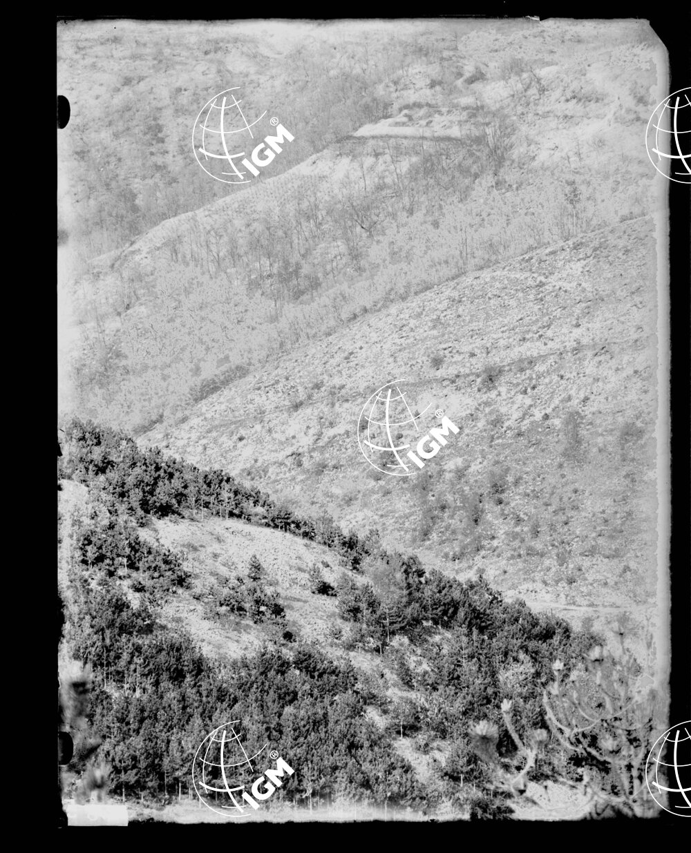 Panorama telefotografico della I^ linea del Volkovniak e Q. 376 - LN00000580