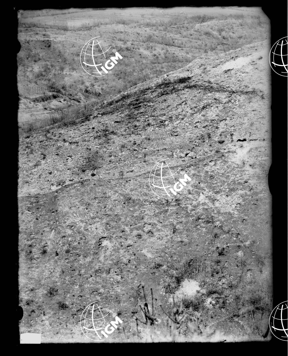 Panorama telefotografico della I^ linea del Volkovniak e Q. 376 - LN00000582