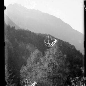 Val Drava - LN00000943