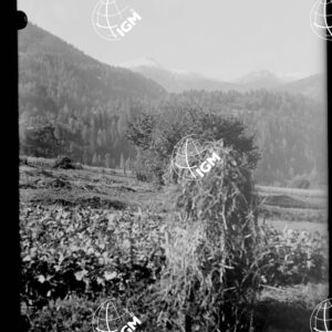 Val del Gail - LN00000949