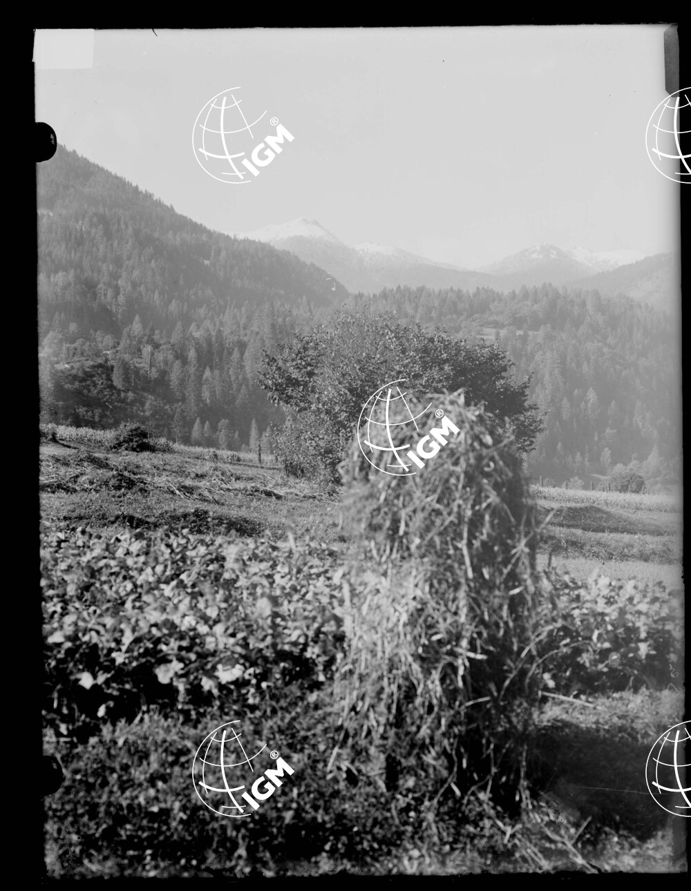 Val del Gail - LN00000949