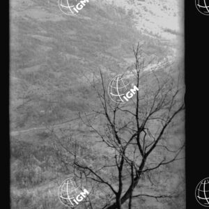 Da Golievo a Prilesje - LN00001078