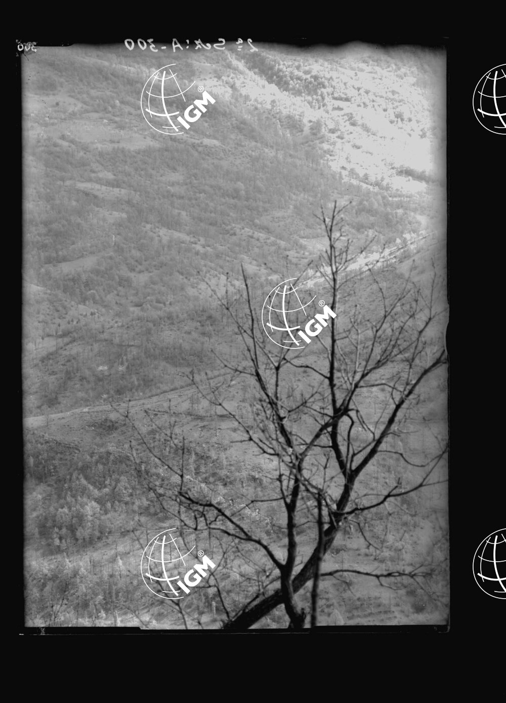 Da Golievo a Prilesje - LN00001078