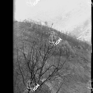 Da Golievo a Prilesje - LN00001083