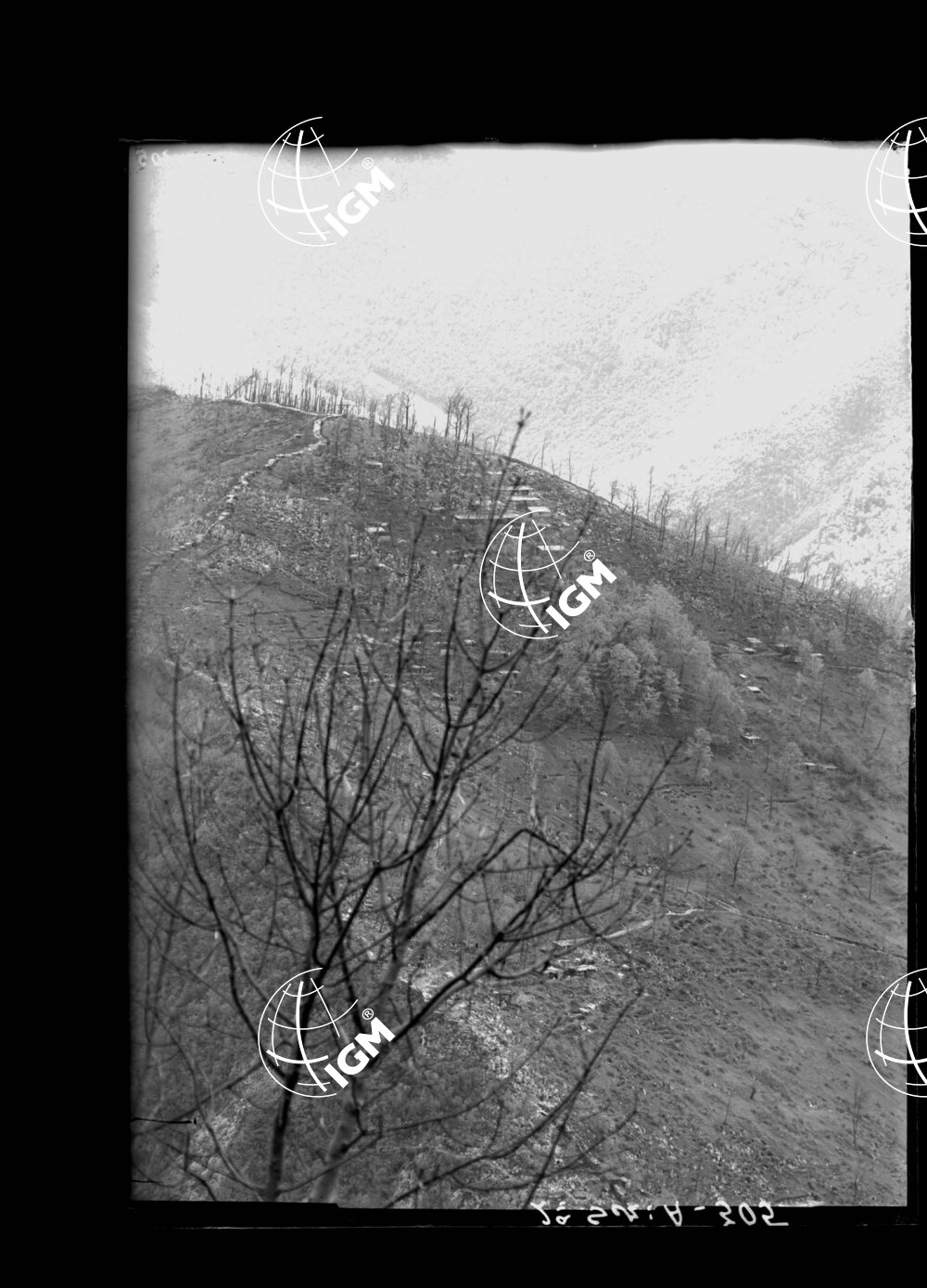 Da Golievo a Prilesje - LN00001083