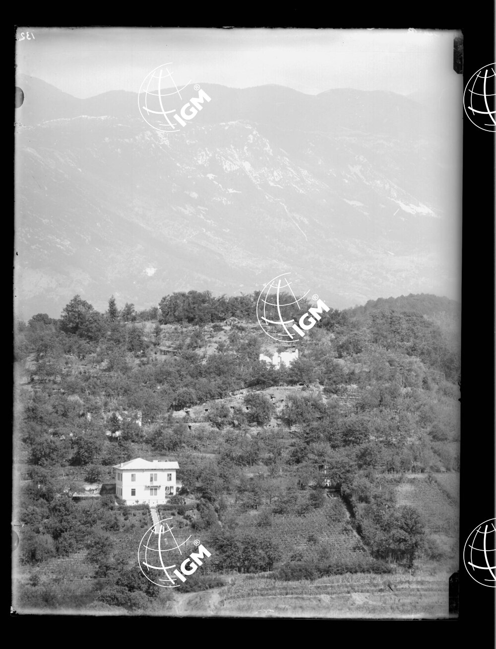 Dal M. Sabotino al M. S. Daniele - LN00001116