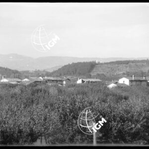 Telepanorama da Capriva a Rubbia - LN00001129