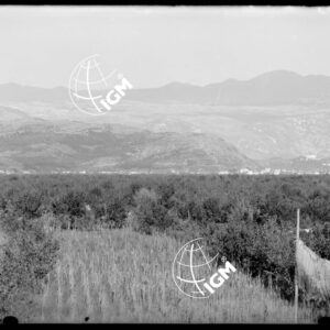 Telepanorama da Capriva a Rubbia - LN00001132