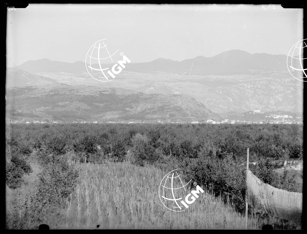 Telepanorama da Capriva a Rubbia - LN00001132