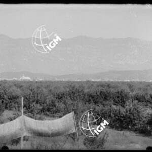 Telepanorama da Capriva a Rubbia - LN00001133