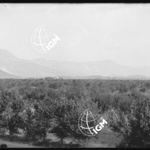 Telepanorama da Capriva a Rubbia - LN00001134