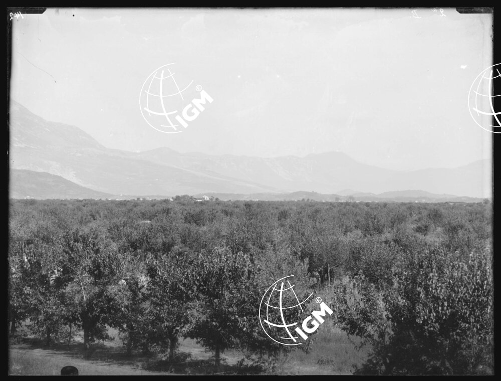 Telepanorama da Capriva a Rubbia - LN00001134