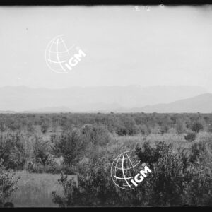Telepanorama da Capriva a Rubbia - LN00001135