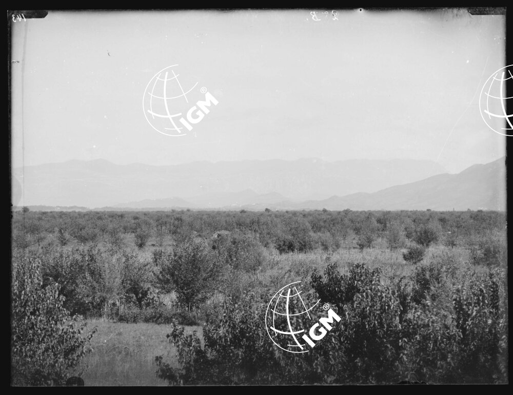 Telepanorama da Capriva a Rubbia - LN00001135