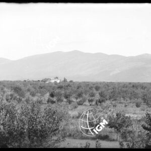 Telepanorama da Capriva a Rubbia - LN00001136