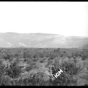 Telepanorama da Capriva a Rubbia - LN00001137