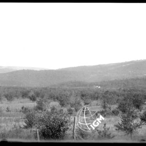 Telepanorama da Capriva a Rubbia - LN00001138