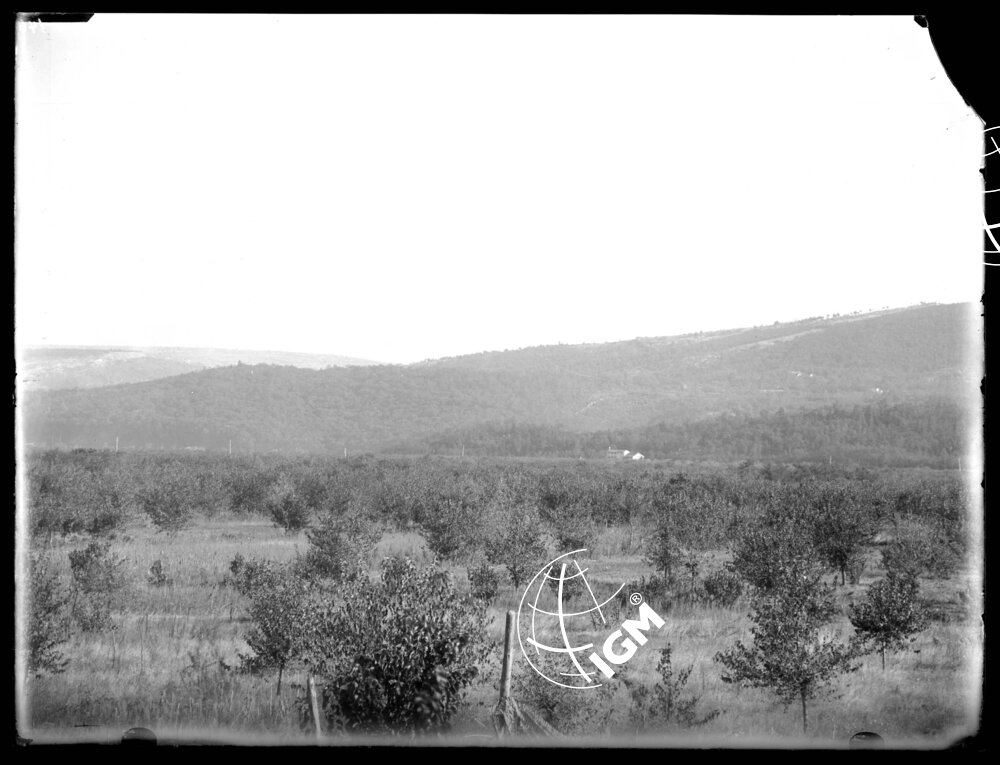 Telepanorama da Capriva a Rubbia - LN00001138