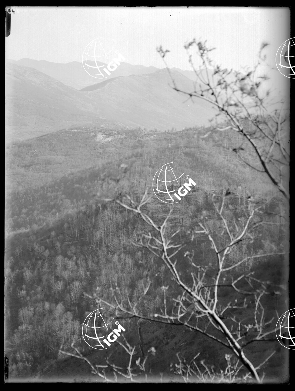 Da Paljevo al M. Santo - LN00001236