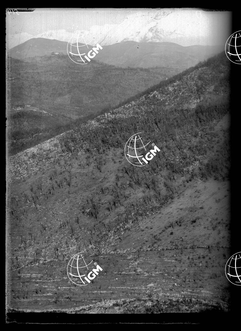 Da quota 383 a Zagamila - LN00001194