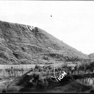 Rovescio del M. di Ragogna - LN00001594