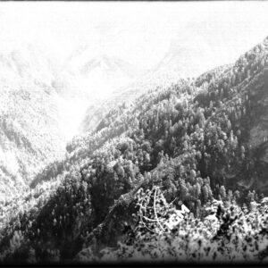 Veduta di Val Dogna - LN00001685