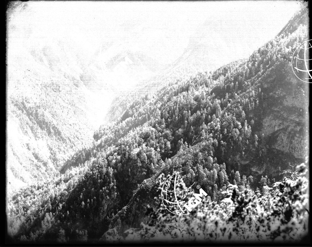 Veduta di Val Dogna - LN00001685