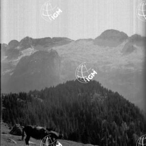 Veduta Sud - LN00001710