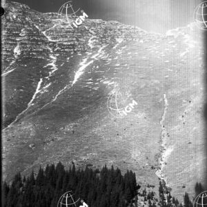 Veduta dell'Altipiano del Montasio - LN00001722